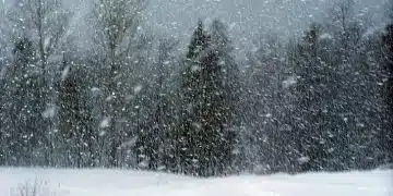 Синоптикът Петър Янков предупреди, че валежите се завръщат, но намекна и за идващ сняг